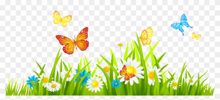 spring flowers and butterflies