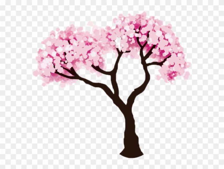 Brown and pink flowers illustration, Cherry blossom Drawing Tree, cherry  blossoms, branch, flower, cherry png | PNGWing