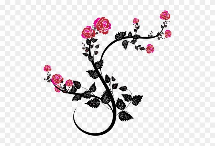 flower,vine,branches,ivy,roses,ivy vine,tree,plant,flowers,foliage,leaves,decorative,background,swirl,collection,wine,floral,vineyard,tree branch,jungle vines,wallpaper,grape vine,elements,vine leaves,love,grape vines,set,floral vines,decoration,tree vines,boho,rose vines,pattern,flowers and vines,branches silhouette,spring,red rose,twig,pink rose,olive branch,png,comclipartmax