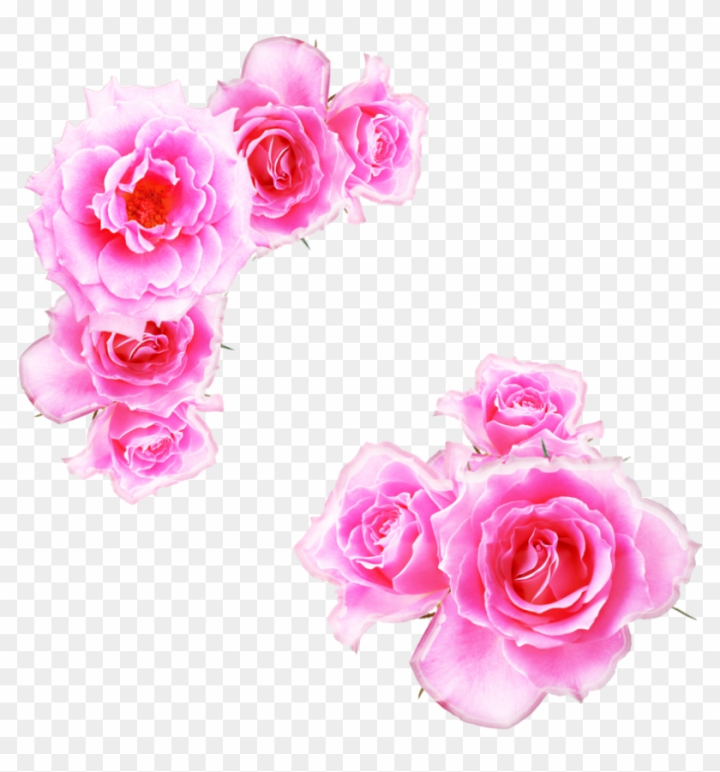 Flower Garden roses Anime, arabesc, love, flower Arranging, food png |  PNGWing