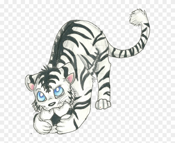 Amazoness Tiger (anime) | Yu-Gi-Oh! Wiki | Fandom