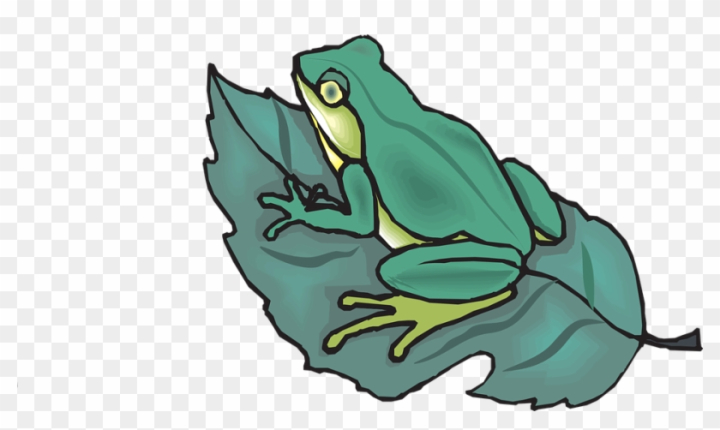 dead frog clipart