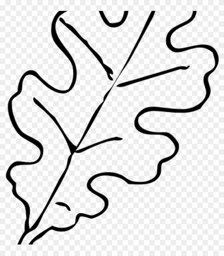 leaf outline clip art black and white