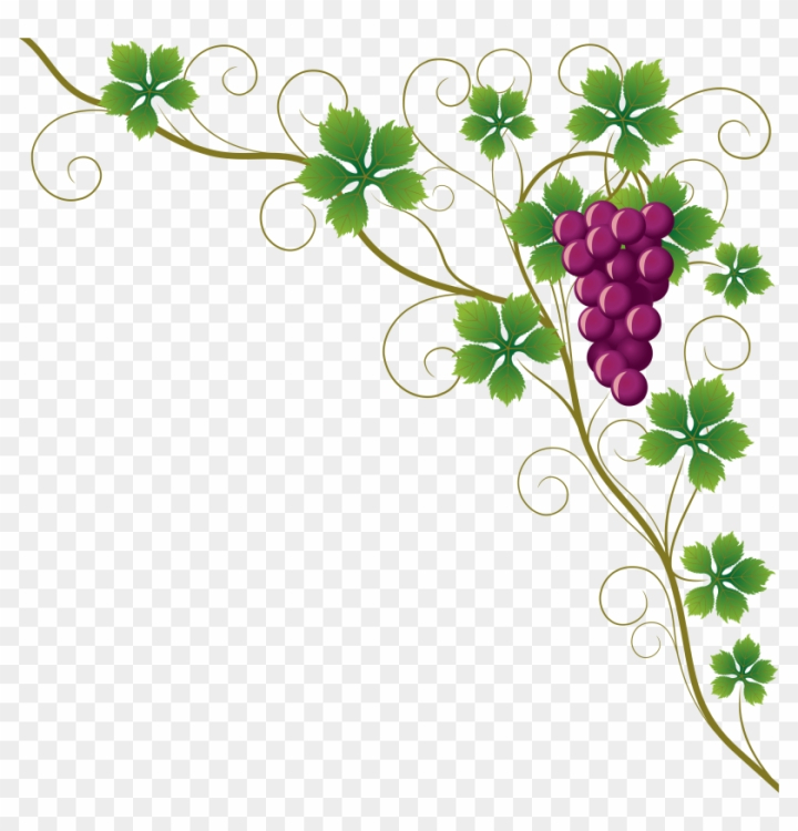 grape leaf clip art