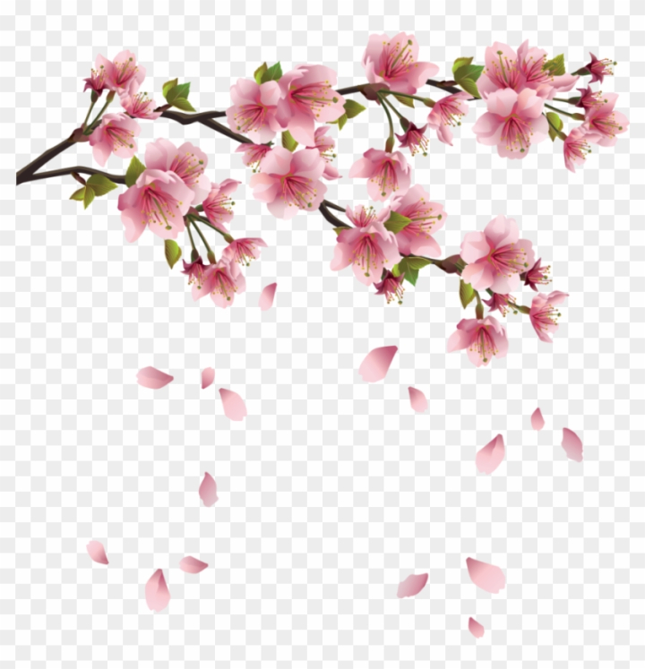 japan,fruit,pattern,sakura,petals,cherries,wallpaper,sweet,japanese,food,abstract,strawberry,plants,cherry tree,texture,apple,asia,cherry blossoms,decoration,summer,plant,color,asian,vintage,blossoms,decorative,flower,backdrop,blossom tree,pink flowers,nature,pink ribbon,apple blossom,pink flower,culture,cute,cherry blossom tree,blossom,cherry blossom branch,illustration,png,comclipartmax