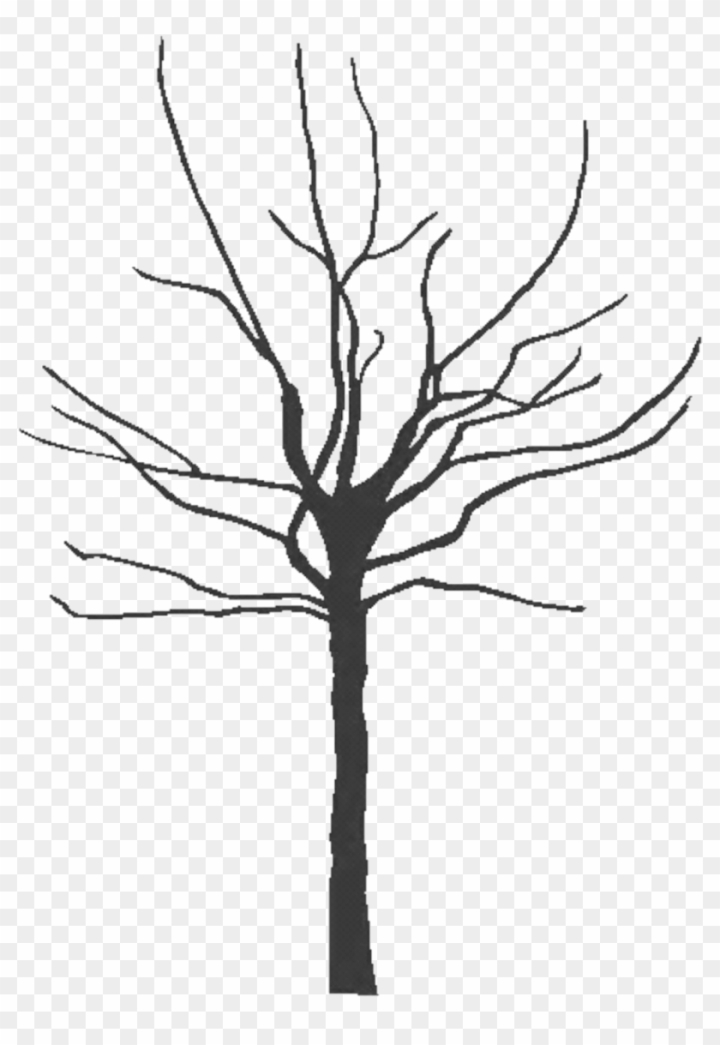 bare oak tree outline