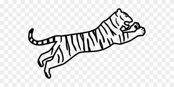 easy drawing of a tiger