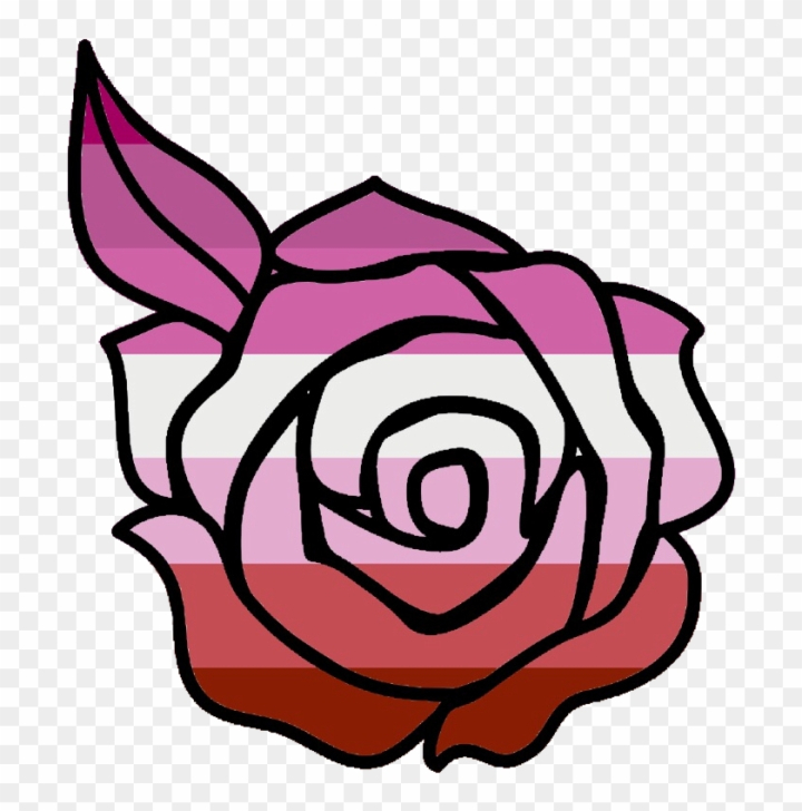 Rose drawing hi-res stock photography and images - Alamy