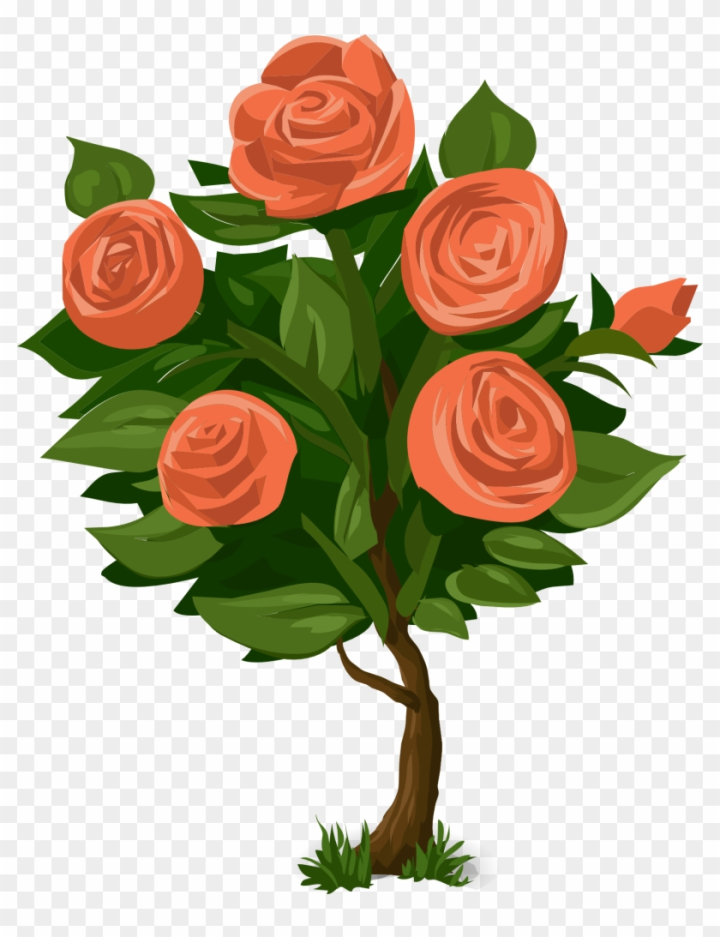 Oleander Drawing Flower Plants Shrub - Drawing Of Yellow Oleander  Transparent PNG - 526x750 - Free Download on NicePNG