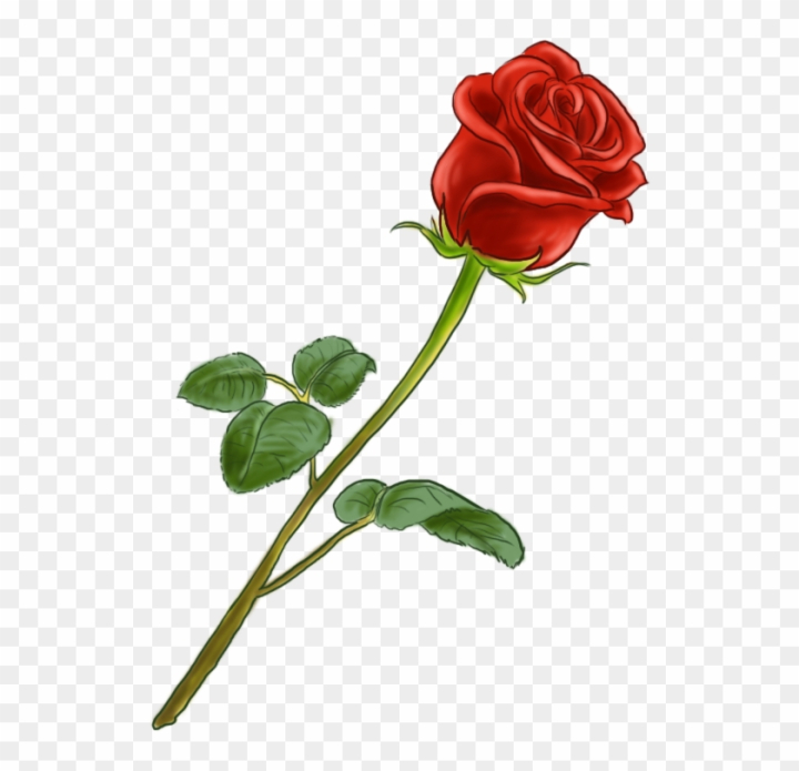 Free La Fleur Est Parfaite Nice Dessin De Rose En Couleur Dessin De Rose En Couleur Pngis 