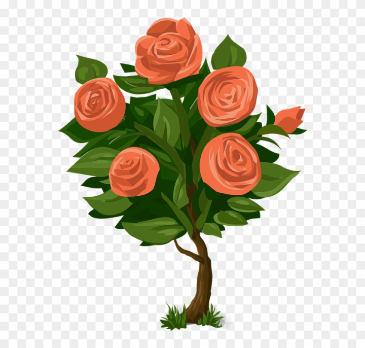 Rose Drawing PNG Transparent Images Free Download | Vector Files | Pngtree