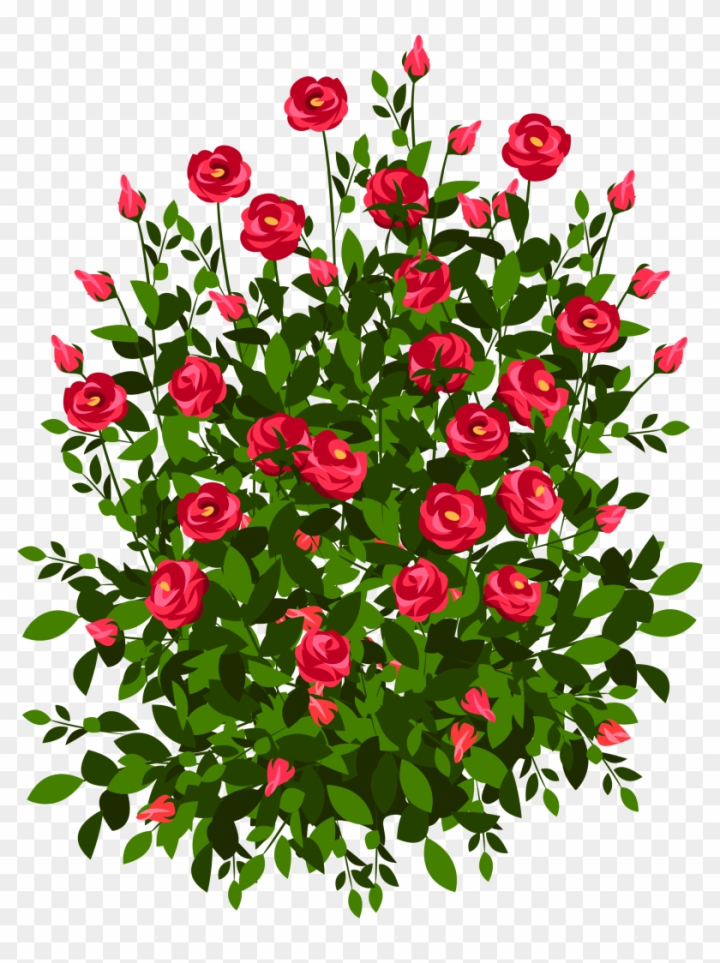 Rose Bush Png - Drawing A Rose Tree Clipart (#1230733) - PikPng