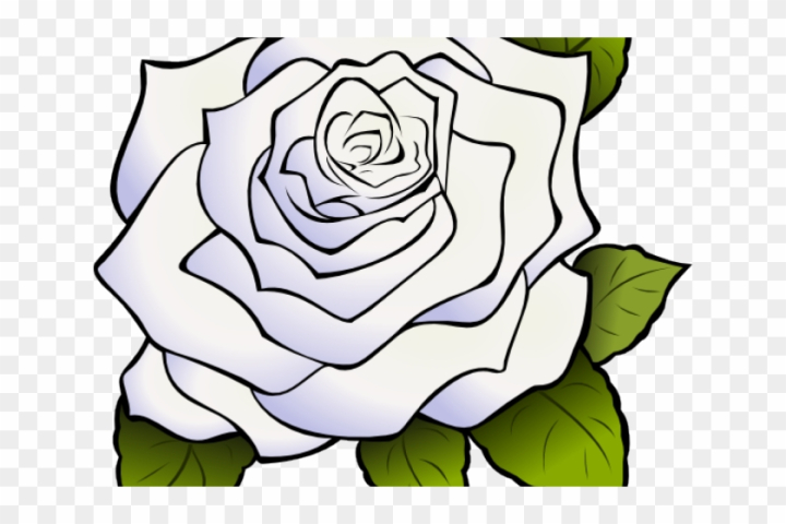 Premium Photo | Big white rose flower and leaves in watercolor style on a  white background