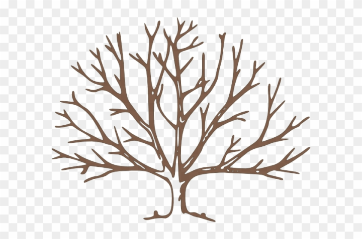Sticker Bare winter tree