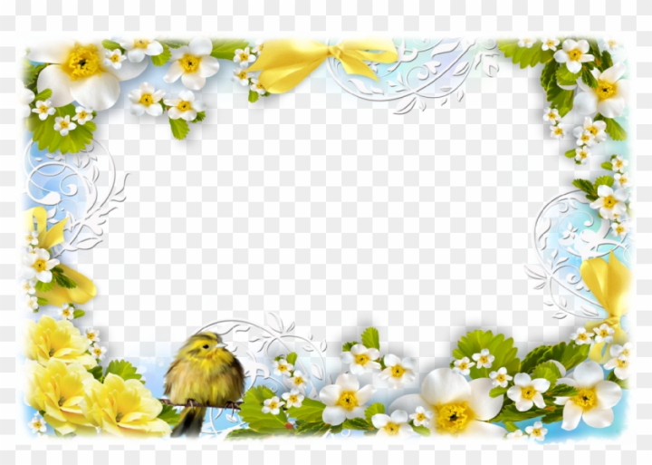 Free: Flowers And Birds - Birds And Flowers Borders - nohat.cc
