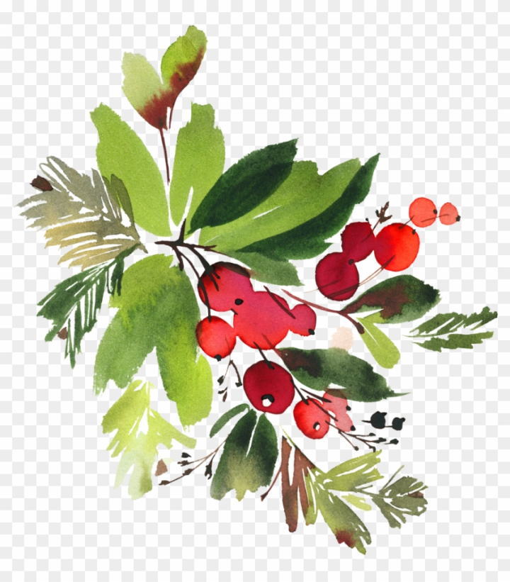 Watercolor Winter Christmas Bouquet Stock Illustration - Download