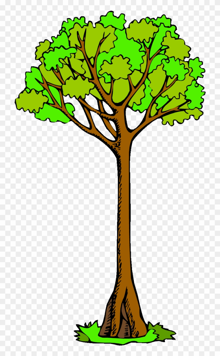 Free: Pin Tree Clipart - Tall Tree Clip Art 