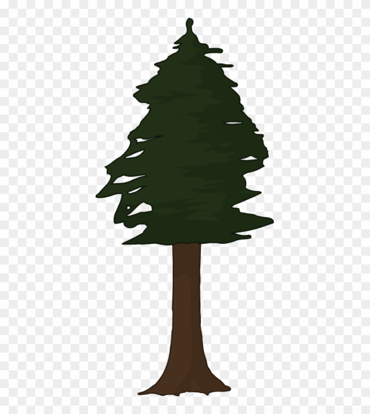 Redwood tree california illustration hi-res stock photography and images -  Alamy