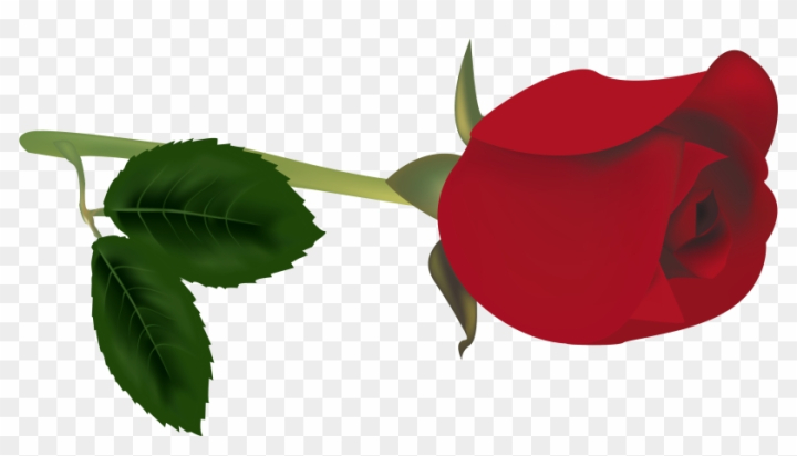 Free: Bud Clipart Red Rose - Red Rose Bud Transparent - nohat.cc