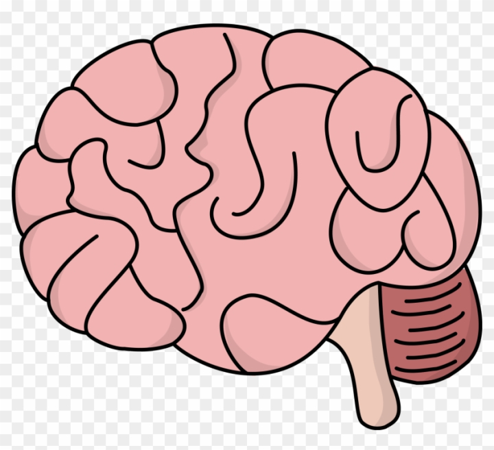 pink brain clipart for kids