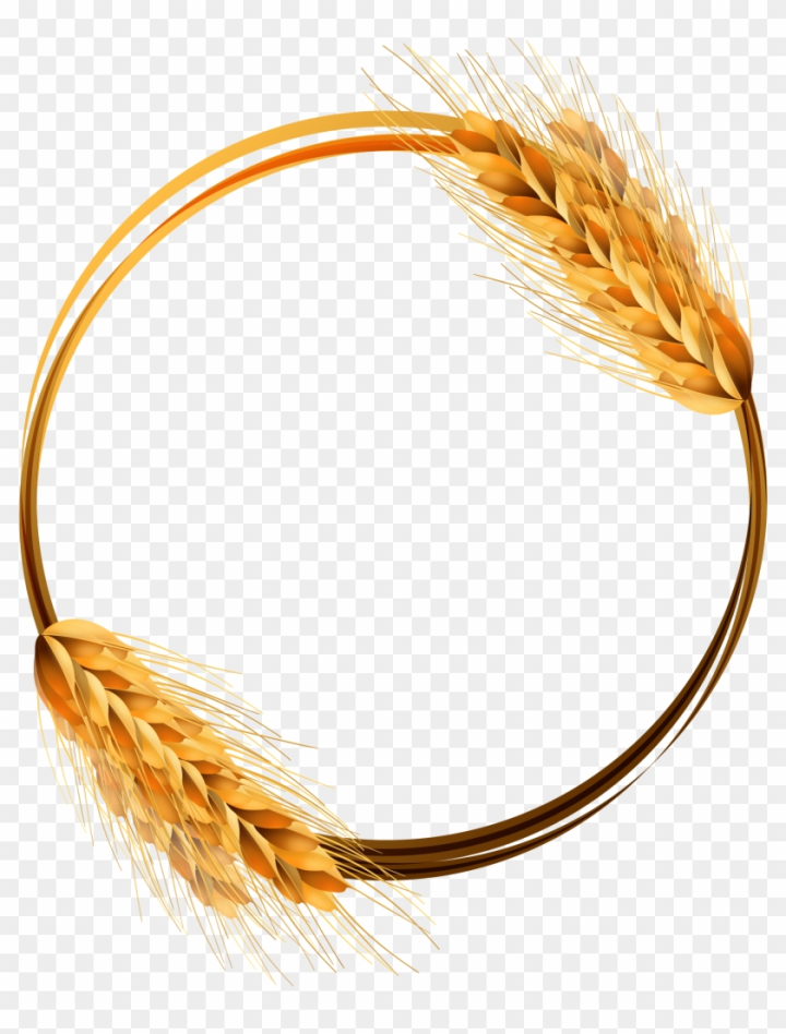 Free Common Wheat Ear Crop Wheat Circle Vector Png Nohat Cc