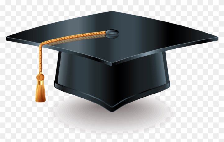graduation diploma vector