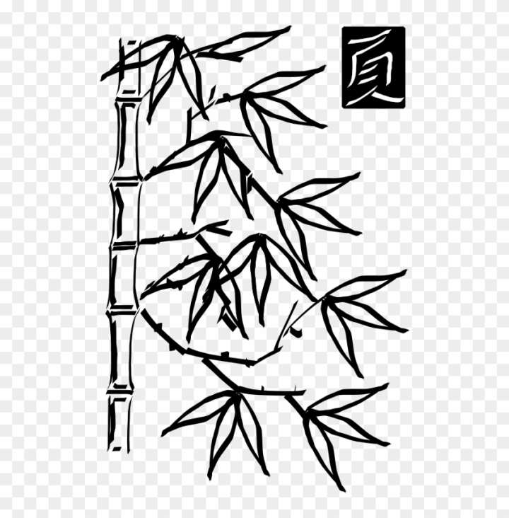 Black and white image of bamboo plant png download - 3644*4028 - Free  Transparent Sketch Style Bamboo Stem png Download. - CleanPNG / KissPNG