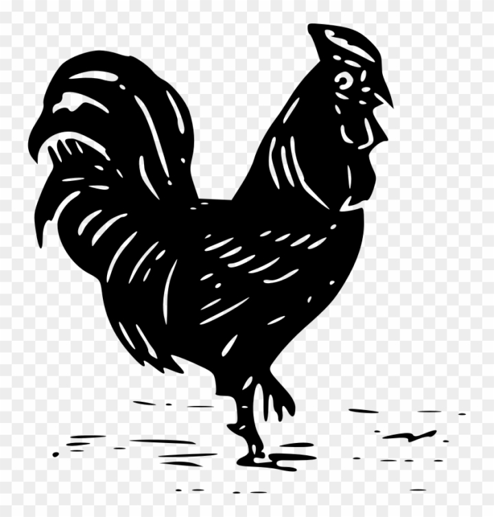 Hen Drawing Images – Browse 112,744 Stock Photos, Vectors, and Video |  Adobe Stock