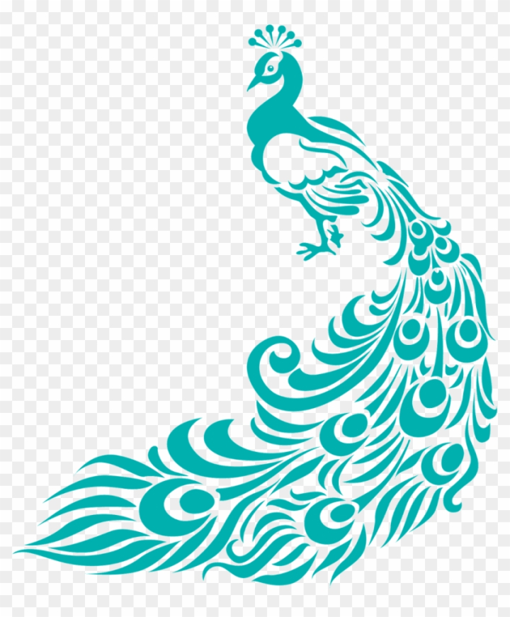 Free Peacock Drawing, Download Free Peacock Drawing png images, Free  ClipArts on Clipart Library