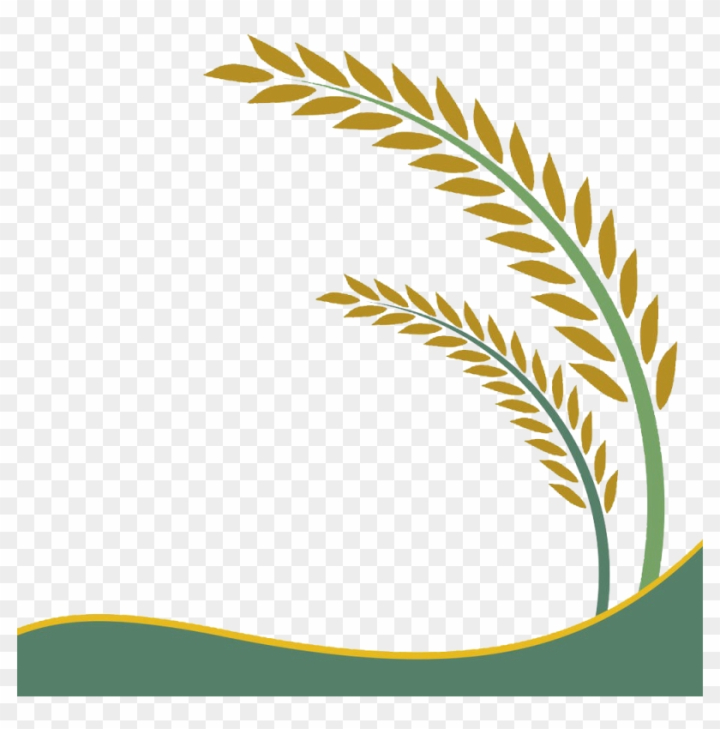 Rice Plant Outline Icon Stock Illustration - Download Image Now -  Agriculture, Cereal Plant, Computer Graphic - iStock