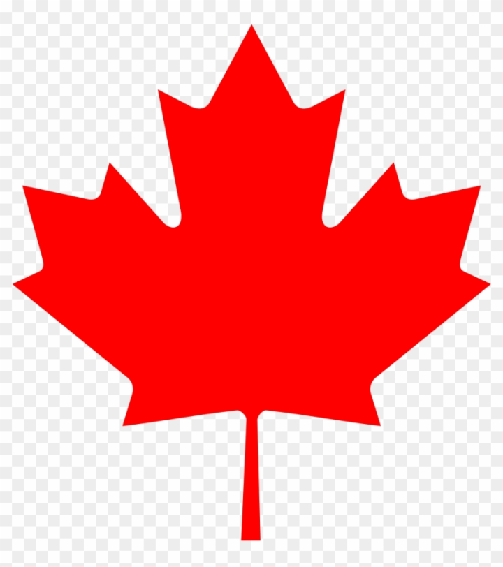 leaf,american flag,canada map,banner,flower,ribbon,map,us flag,nature,design,country,flags,leaf pattern,patriotism,travel,nation,plant,flags of the world,symbol,white flag,summer,american flag vector,british,flag banner,tree,checkered flag,flag,indian flag,green leaf,flag italy,canada flag,illustration,autumn,sign,geography,graphic,flowers,texture,world,forest,png,comclipartmax