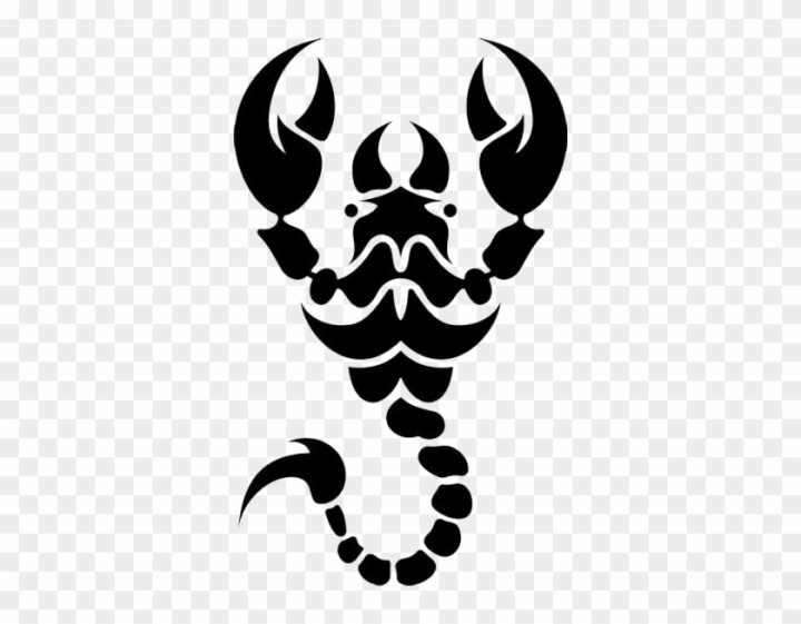 scorpion tattoo designs for girls