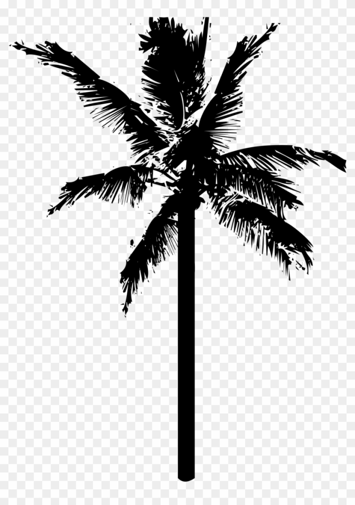 Palm tree summer logo vector image on VectorStock | Palm tree vector,  Summer logo, Palm tree drawing