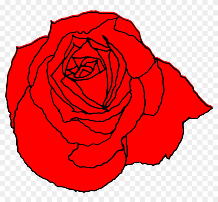 Rose Flower Drawing Red, rose, floribunda, pin png | PNGEgg