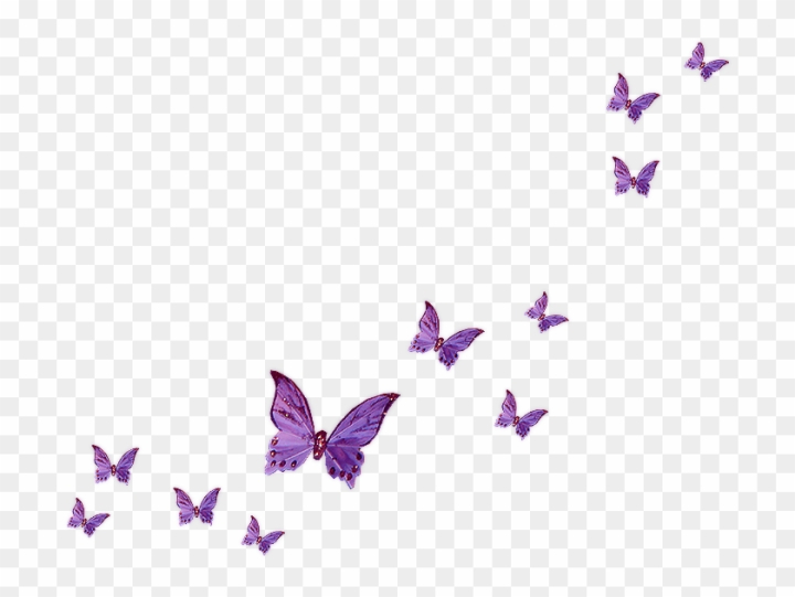 flying pink butterfly