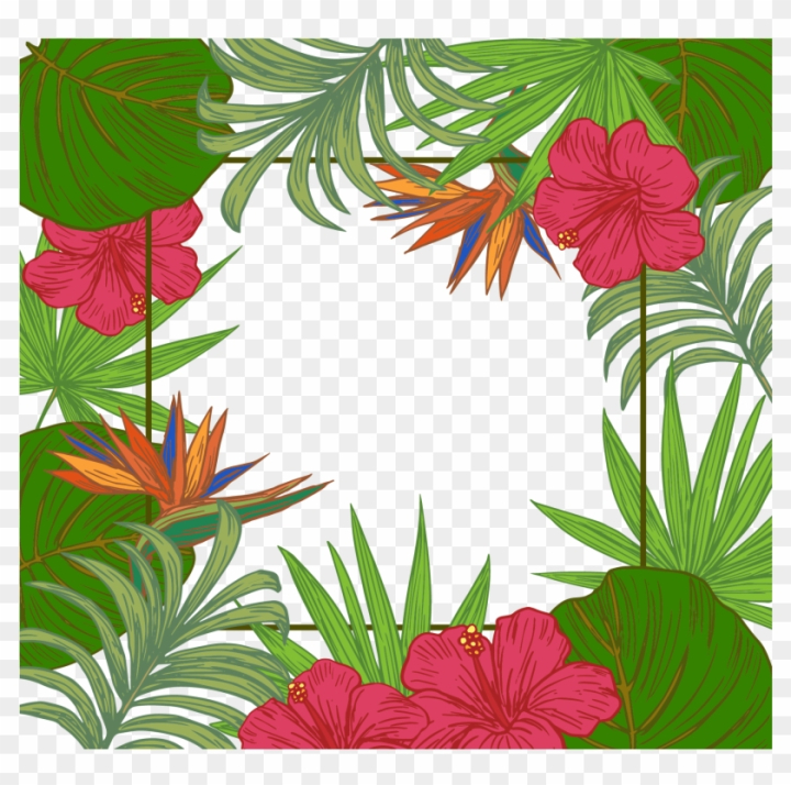 tree,certificate,sea,banner,decorative,floral border,wallpaper,vintage border,leaf,vintage,exotic,frames,design,frame border,vacation,boarders,leaves,border frame,ocean,borders,holiday,beach,trees,tropical beach,texture,tropical flowers,flower,palm tree,fabric,tropical fruit,wood,tropical fish,illustration,tropical island,nature,tropical birds,retro,tropical flower,family tree,tropical leaves,png,comclipartmax