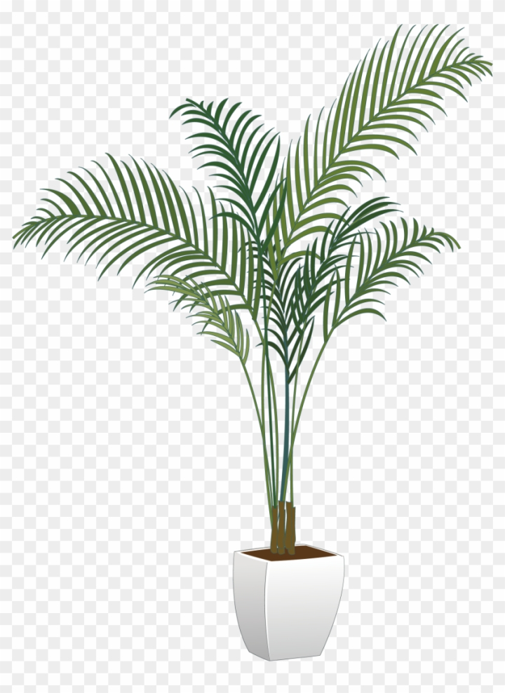 potted plants and flowers png