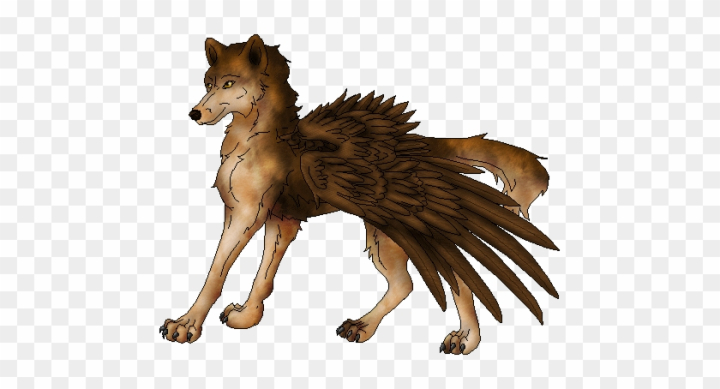 Anime Winged Wolf Drawings  Get Coloring Pages