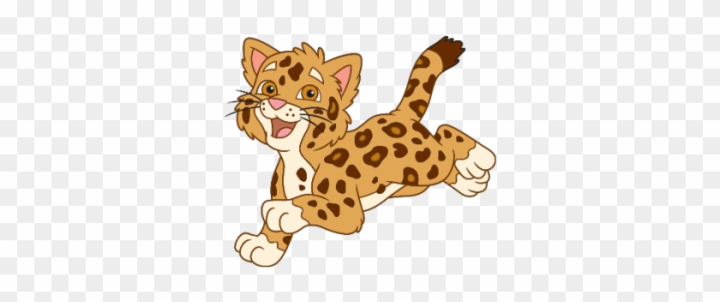 go diego go baby jaguar