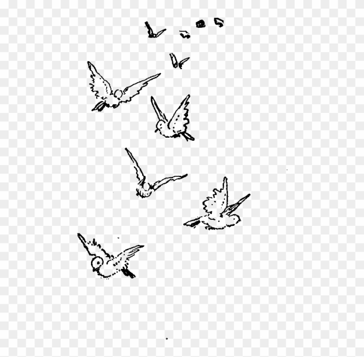 20 Easy Flying Bird Drawing Ideas - How To Draw A Flying Bird-saigonsouth.com.vn