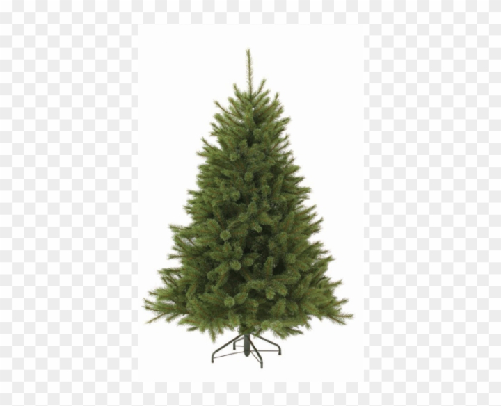 Free: Triumph Tree Forest Frosted Pine - Christmas Tree Without Lights 