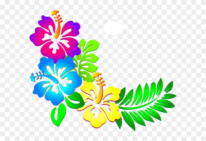 Free: Hibiscus Clipart Wallpaper - Hawaiian Flower Border Png - Nohat.cc