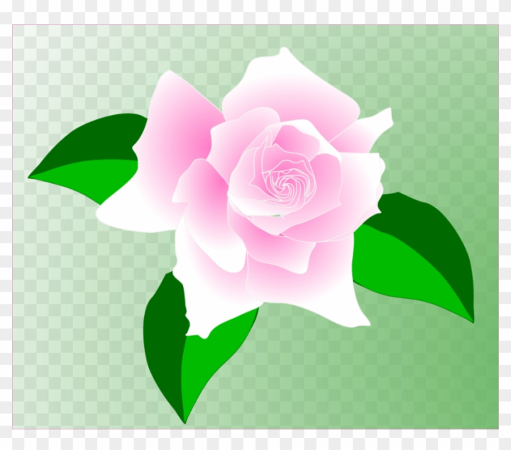 single rose clip art