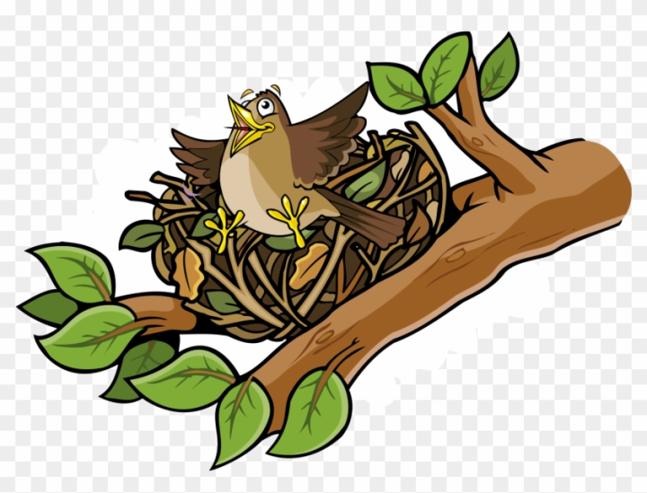 Free: Bird Habitat Nature Animal Organism - Nest Cartoon 