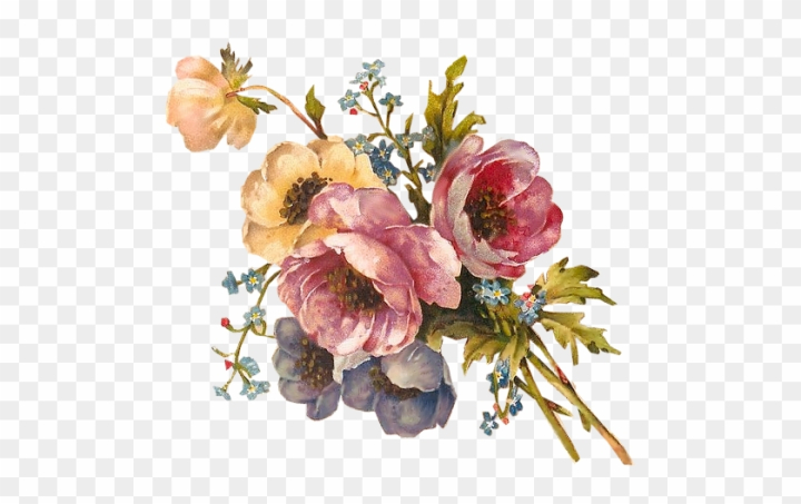 Free: Floral Piece Tuckdb Org - Vintage Flower Painting Png - nohat.cc