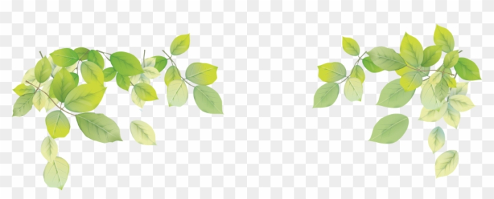 Green Leaf Background png download - 1067*942 - Free Transparent