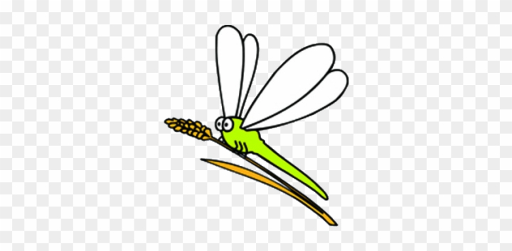 bug,background,insect,drawing,fly,design,wings,decoration,bee,pattern,leaf,beautiful,nature,graphic,dragon,firefly,insects,ant,illustration,pest,beetle,wing,ladybug,dragonfly,spider,butterfly,animal,small,bugs,bird,animals,fly insect,mosquito,line,isolated,png,comclipartmax