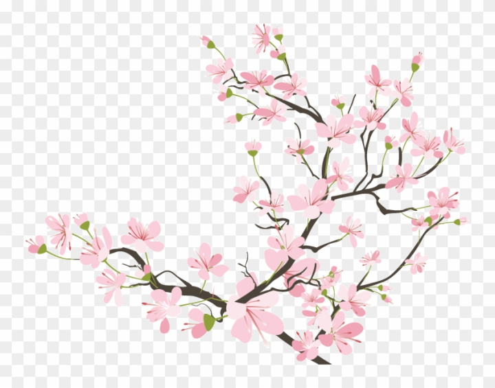 flower,petals,fruit,blossoms,facebook,blossom tree,sakura,apple blossom,cute,cherry blossom branch,cherries,plum blossom,twitter,food,japan,strawberry,internet,cherry tree,set,apple,website,cherry blossoms,floral,cherry blossom tree,social,summer,smile,instagram,japanese,google,sweet,network,roses,happy,asia,characters,wedding,sign,asian,manga,png,comclipartmax