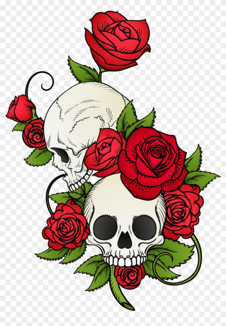 Dead skull with rose flowers sketch Royalty Free Vector