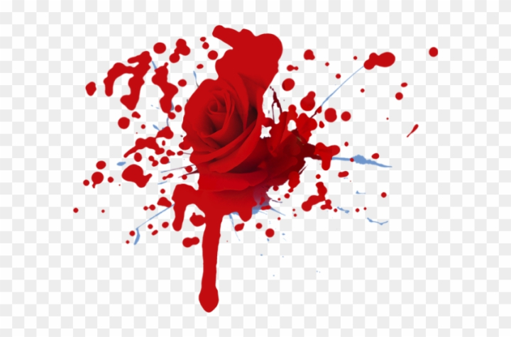 bleeding rose drawing
